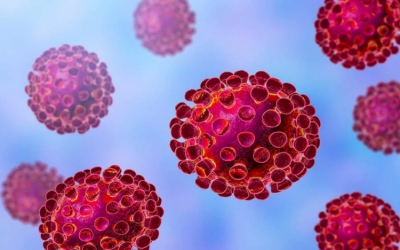 Koronavírus - Emmi: megkapták a köznevelési intézmények a következő tanévre vonatkozó járványügyi protokollt
