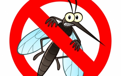 A héten hat vármegyében irtják a szúnyogokat