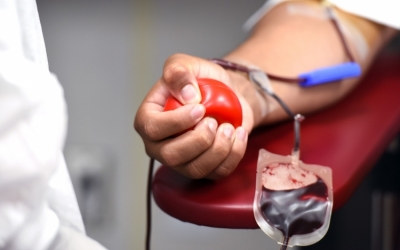 Vérellátó: több vérplazmára van szükség