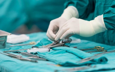 Tavaly 320 szervátültetést végeztek Magyarországon